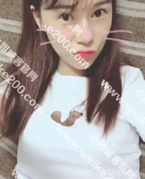 双飞极品妹子凡小雨和她的姐妹薇薇
